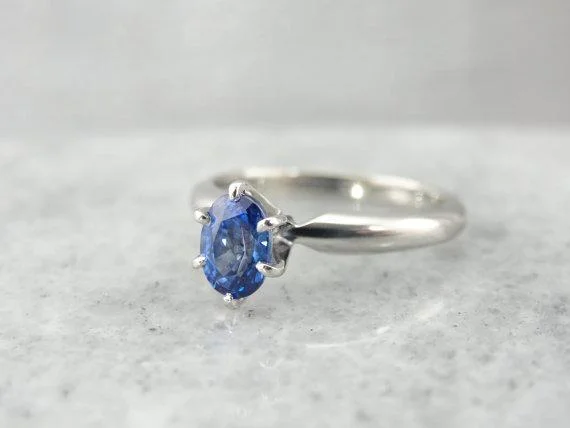 Ladies Engagement Rings Modern Halo-Classic Sapphire and Platinum Engagement Ring