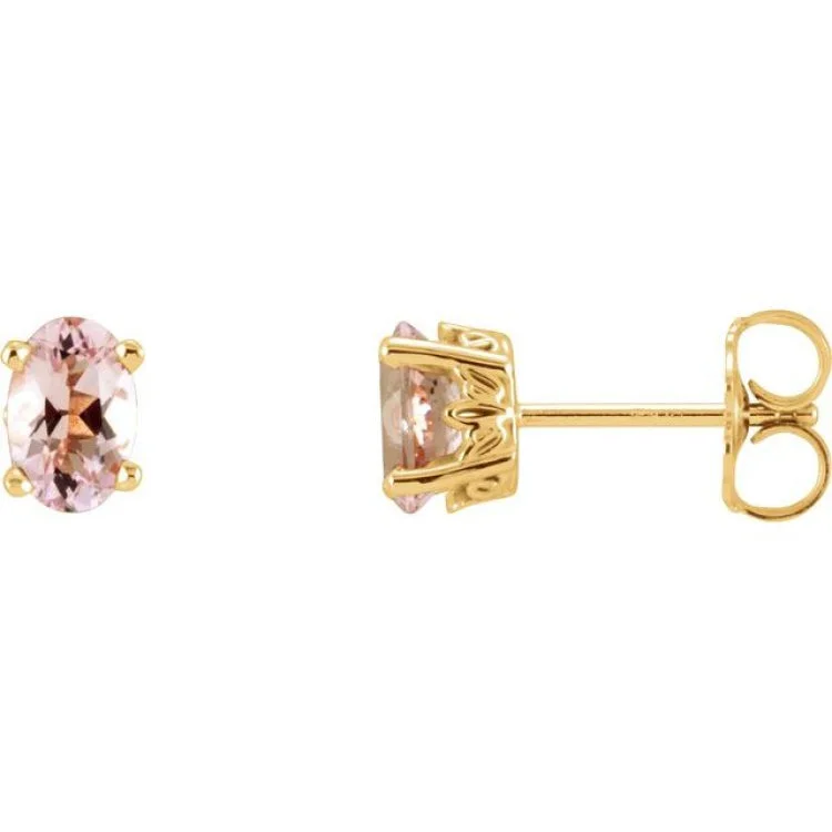 Ladies Earrings for Volunteers-14K Yellow Natural Pink Morganite Earrings